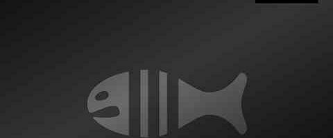 Stereo Palma – Lick It