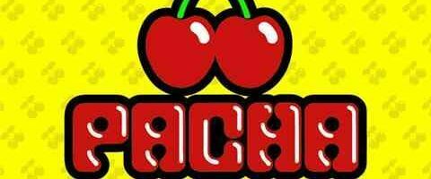 Die neue Pacha 2011