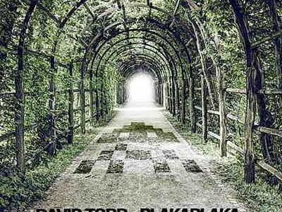 David Torr - Plakaplaka