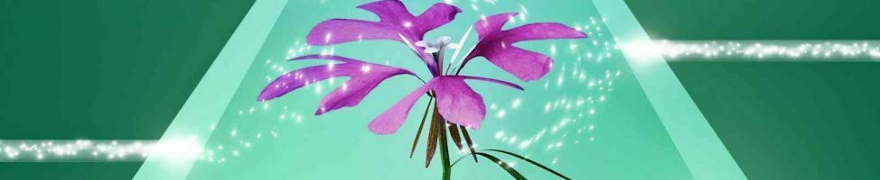 Fugue - Clarkia Pulchella
