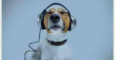 Drum n Bass