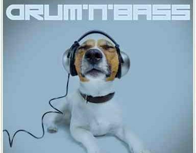 Drum n Bass