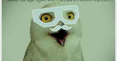 Dubstep 3