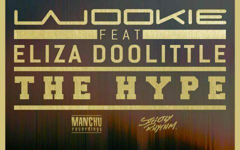 Wookie feat Eliza Doolittle - The Hype