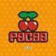 Pacha 2014