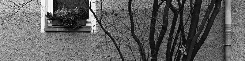 LINDHOLZ E.P. - TIMBOLETTI