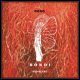 Bondi - Red Beard